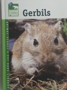 In case you were *really* interested in gerbils.